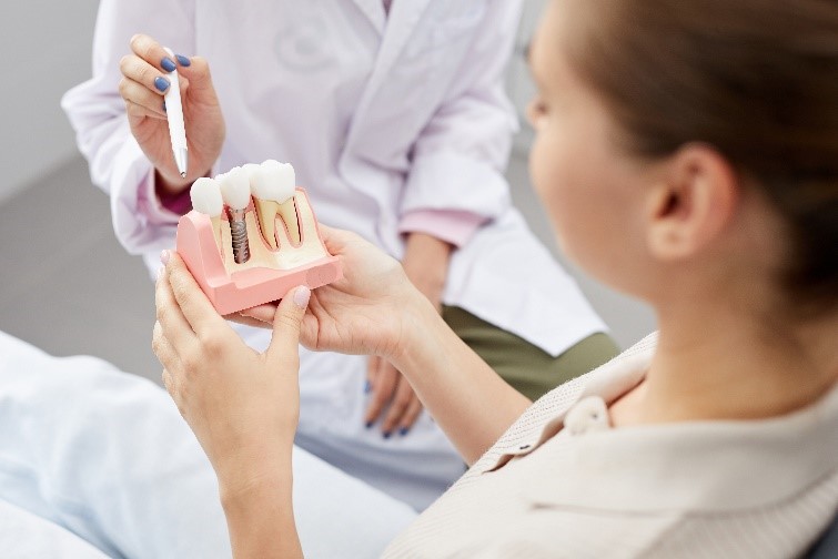 Eine Zahnärztin zeigt einem Patienten ein Zahnmodell, das ein Zahnimplantat mit Krone darstellt. Die Zahnärztin hält einen Zeigestab in der Hand und erklärt den Eingriff. Der Patient hält das Modell und hört aufmerksam zu. Beide tragen helle Kleidung.